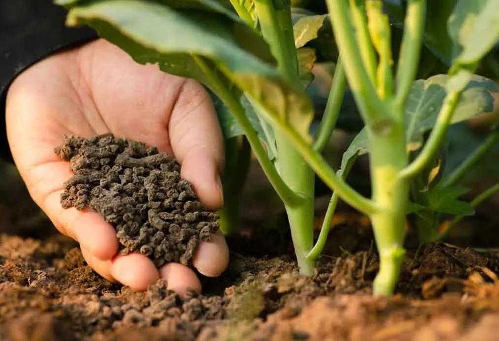 Fertilizer & Compost